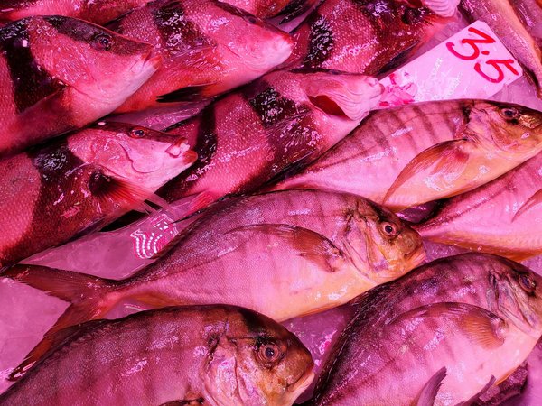 L'impact de la technologie sur les cliniques privées